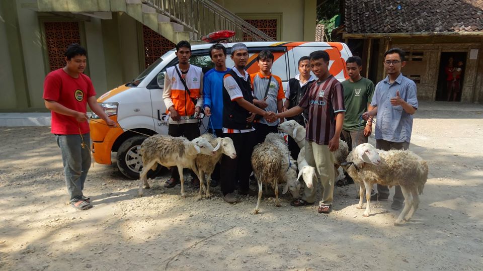 Lazismu Sebar Kurban Di 169 Daerah Terluar, Terdalam Dan Terpencil