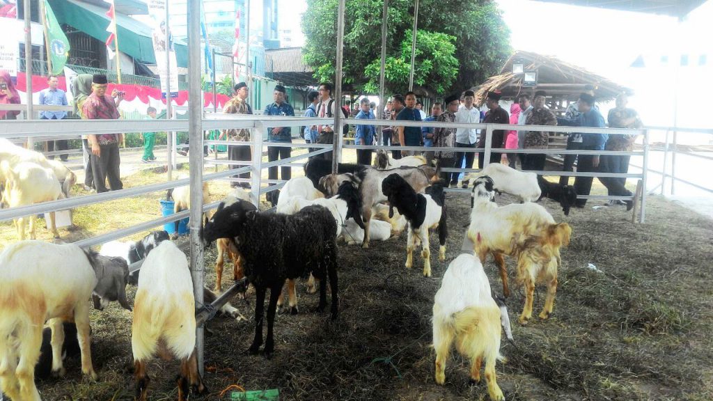 Peresmian pasar qurban 13