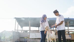 Menajamkan Peran dan Fungsi Amil Zakat