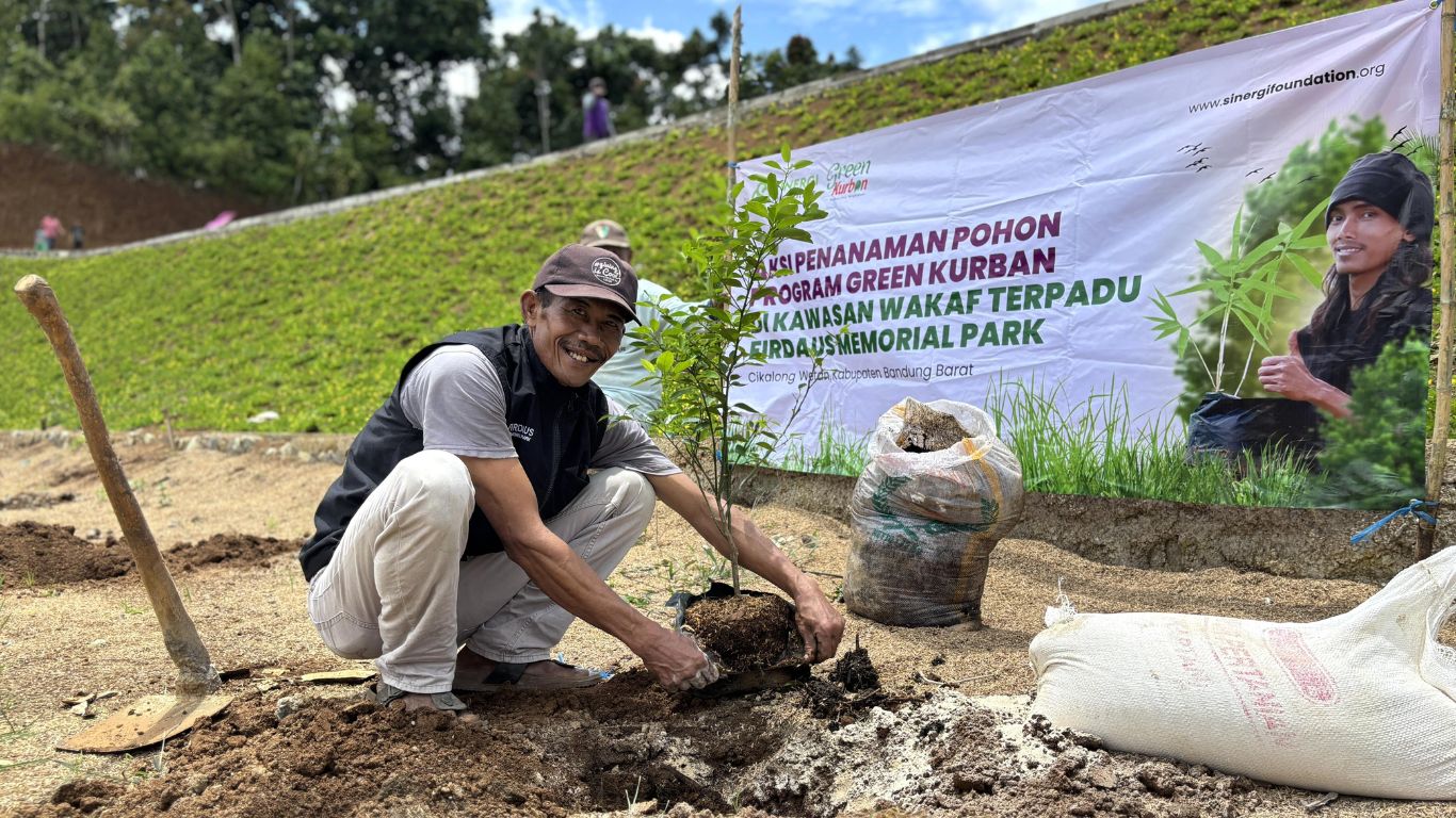 green kurban sinergo foundation