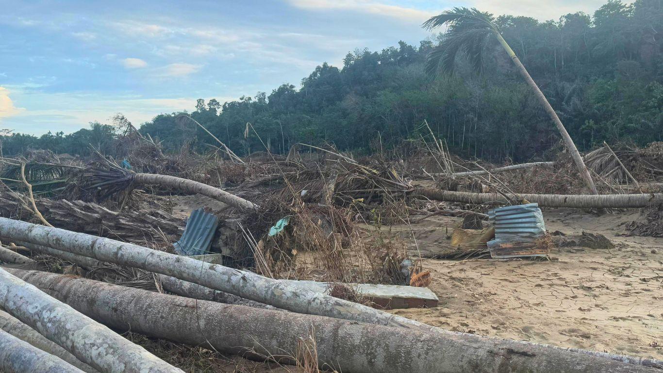 Terus Tumbuh untuk Bangkit Pasca Bencana