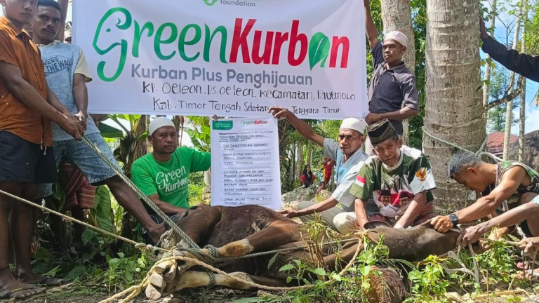 Green Kurban Oeoleon NTT