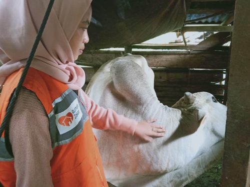 2507MENDEKATI HARI RAYA QURBAN, RUMAH ZAKAT ADAKAN PENYULUHAN DAN PENDAMPINGAN KELOMPOK TERNAK (6)