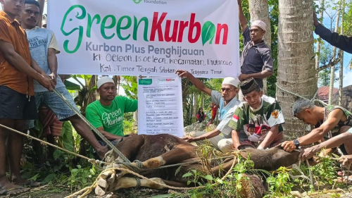 Green Kurban Oeoleon NTT