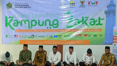 laz harfa