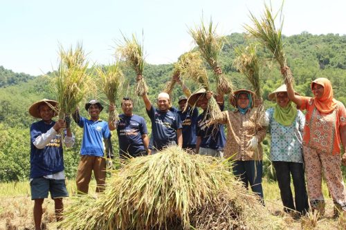 Petani Baran Mundu