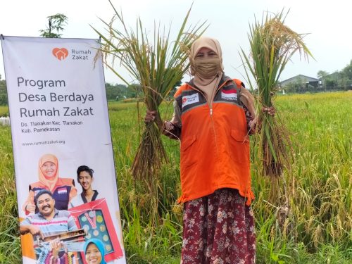 RUMAH ZAKAT JADIKAN PENEN RAYA TETAP SUKSES DI SAAT KELANGKAAN PUPUK BERSUBSIDI (1)