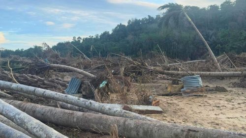 Terus Tumbuh untuk Bangkit Pasca Bencana
