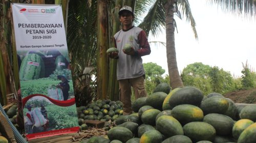 WhatsApp Image 2020-02-11 at 16.52.36