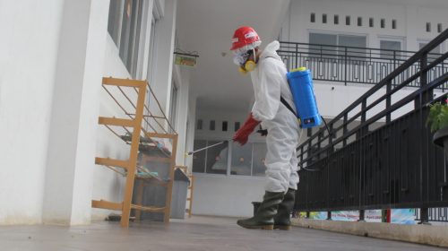 WhatsApp Image 2020-04-06 at 18.31.29