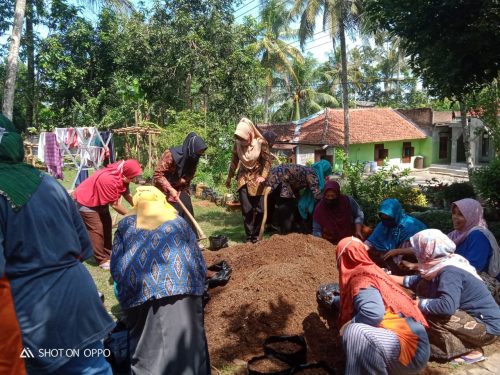 WhatsApp Image 2020-06-24 at 14.27.36