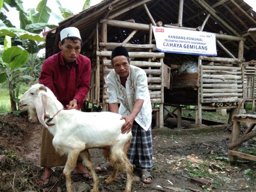 WhatsApp Image 2020-07-01 at 08.51.52 (2)