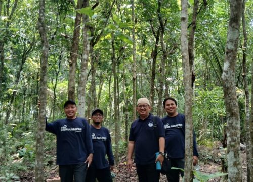 desa harapan laz harfa