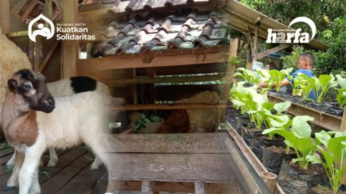 ketahanan pangan dari zakat