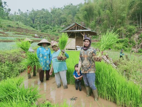 laz al azhar sinergi MAI (11)