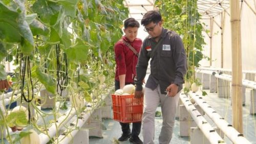 petani milenial tersenyum