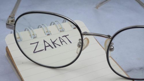 Profesi amil